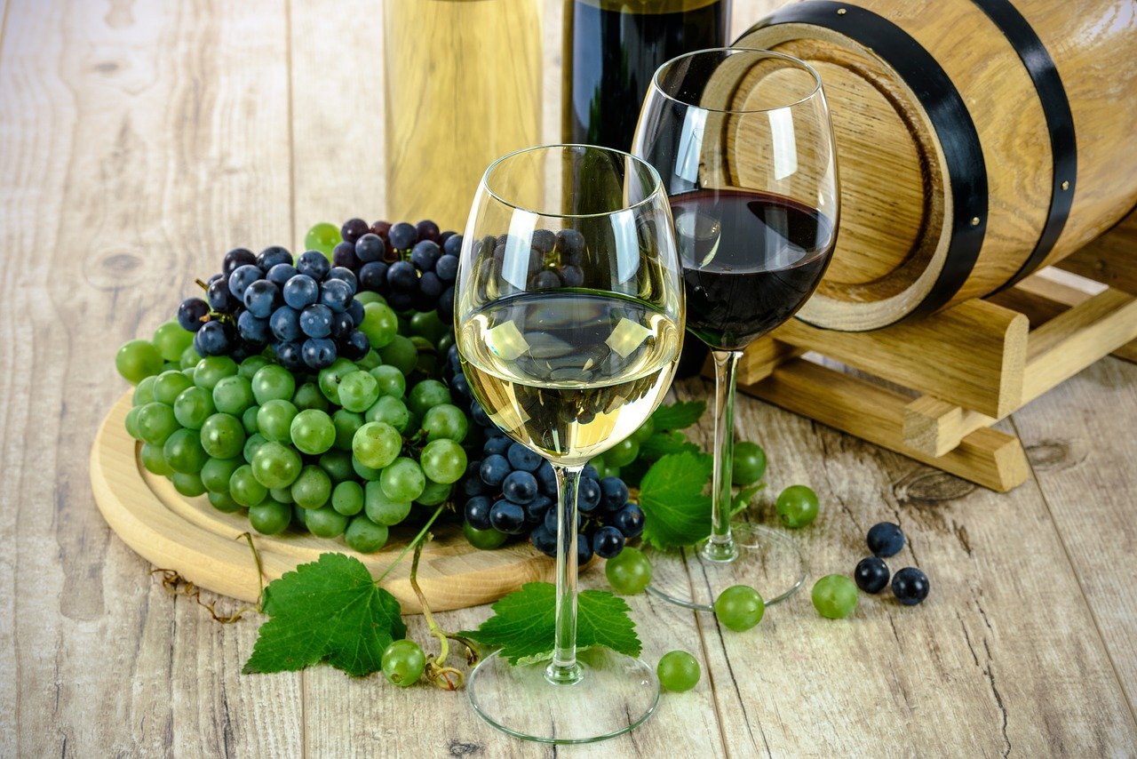 O que é preciso saber sobre vinhos