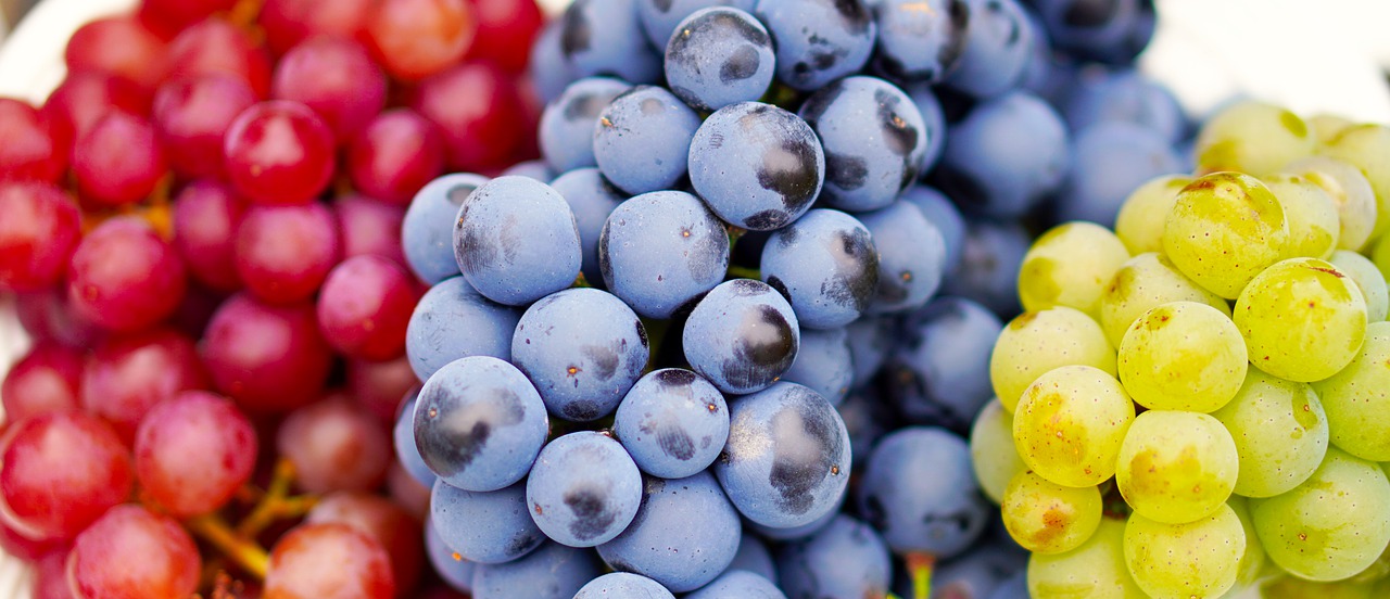 s usadas para fazer vinho